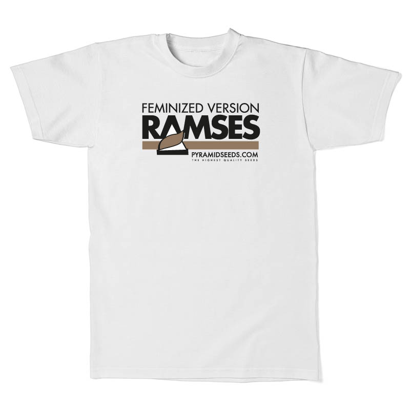 Men's T-Shirt Pyramid Ramzes