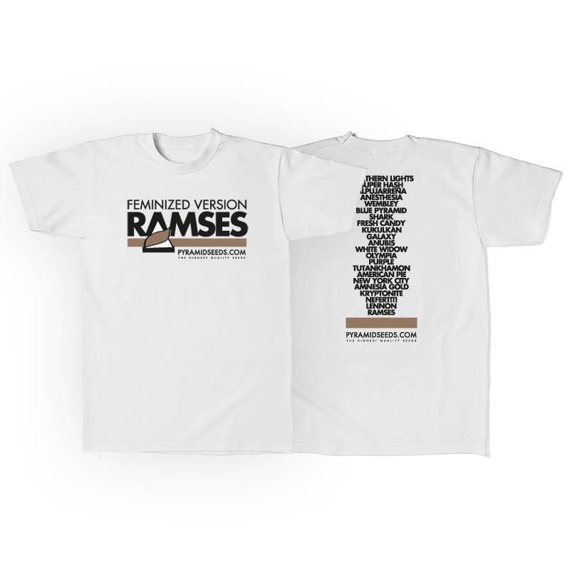Men's T-Shirt Pyramid Ramzes