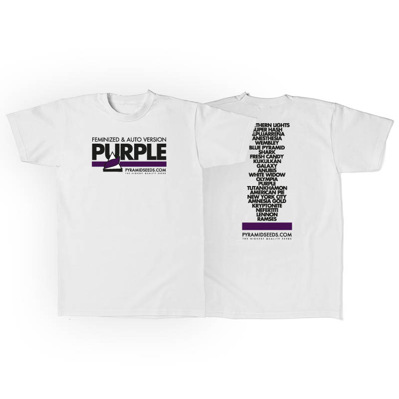 Men's T-Shirt Pyramid Purple