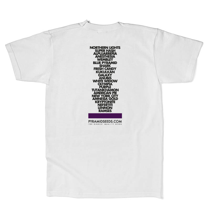 Men's T-Shirt Pyramid Purple