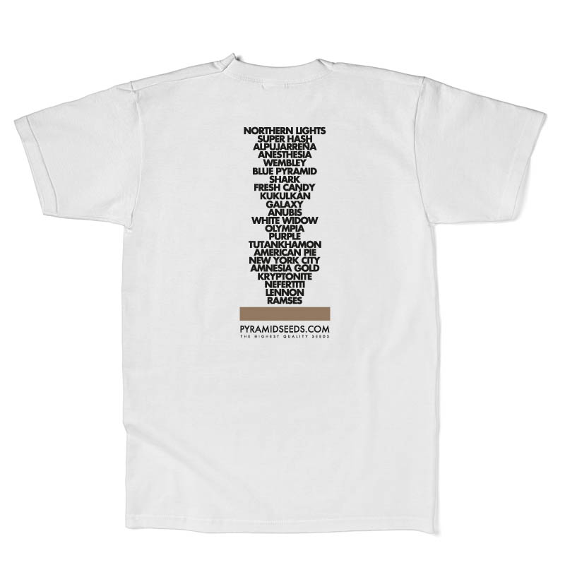 Men's T-Shirt Pyramid Ramzes